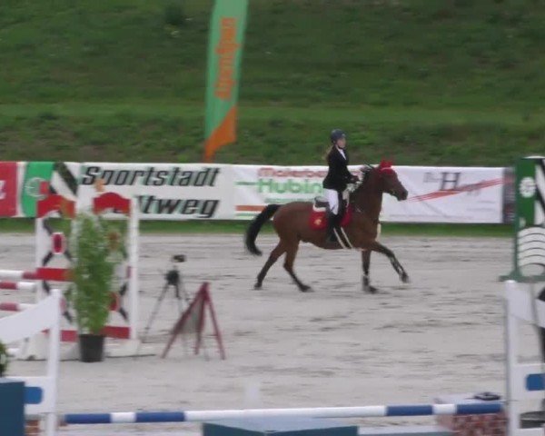 Reitturnier Zeltweg-Farrach 2022