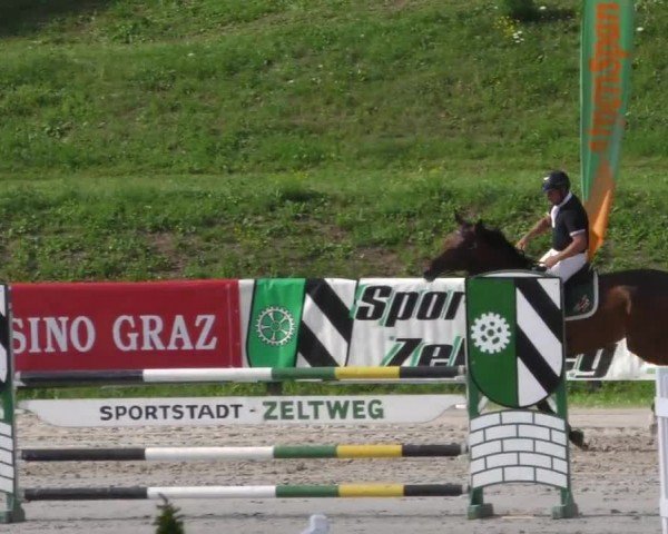 Reitturnier Zeltweg-Farrach 2022