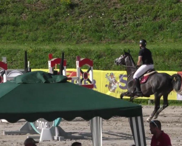 Reitturnier Zeltweg-Farrach 2022