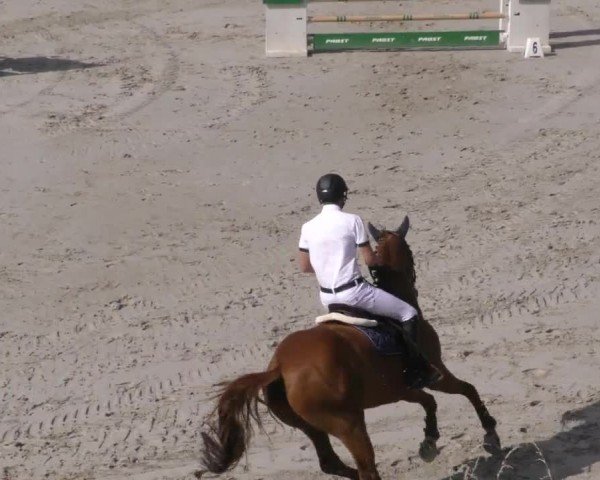 Reitturnier Zeltweg-Farrach 2022