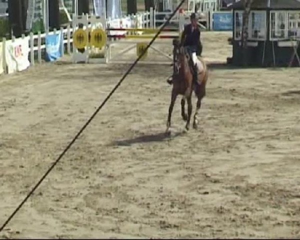 Reitturnier Werne-Lenklar 2012