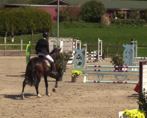 Reitturnier Looperholzer Turniertage 2024