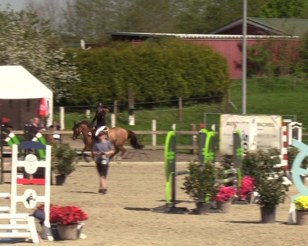 Reitturnier Looperholzer Turniertage 2024
