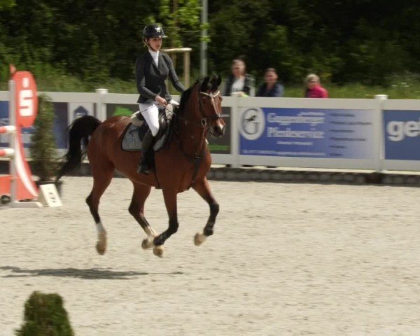 Reitturnier Babenhausen/Schw. 2024