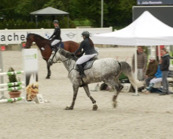 Reitturnier Babenhausen/Schw. 2024