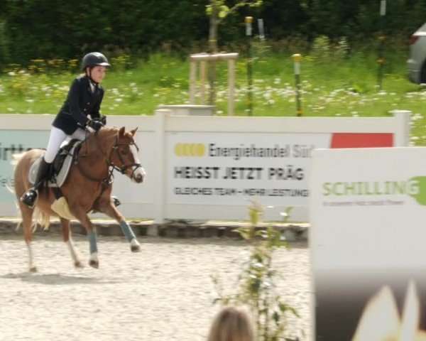 Reitturnier Babenhausen/Schw. 2024