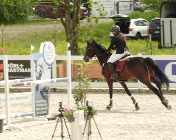 Reitturnier Babenhausen/Schw. 2024