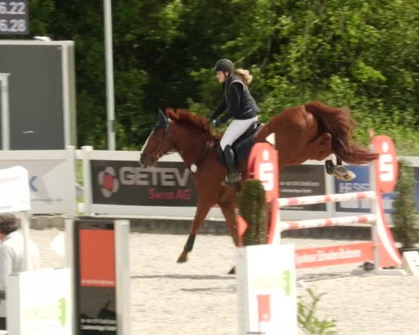 Reitturnier Babenhausen/Schw. 2024