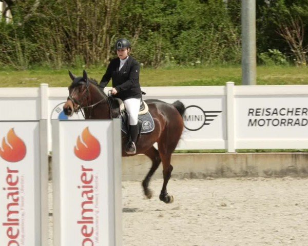 Reitturnier Babenhausen/Schw. 2024