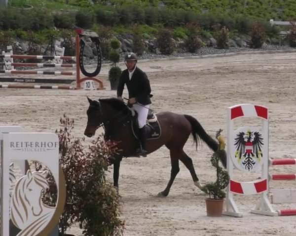 Reitturnier St. Margarethen-Stückler 2022