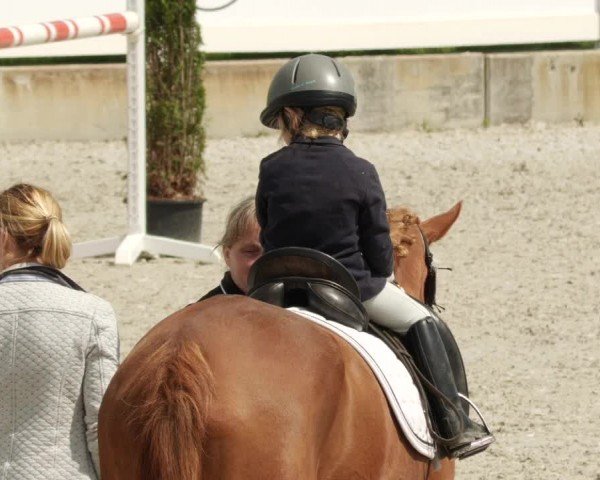 Reitturnier Babenhausen/Schw. 2024