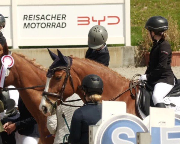 Reitturnier Babenhausen/Schw. 2024