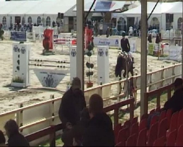 Reitturnier Werne-Lenklar 2012