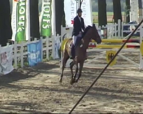 Werne-Lenklarer Reitertage vom 13.-15.+17.-22.04.2012 auf der Reitsportanlage Gripshöver