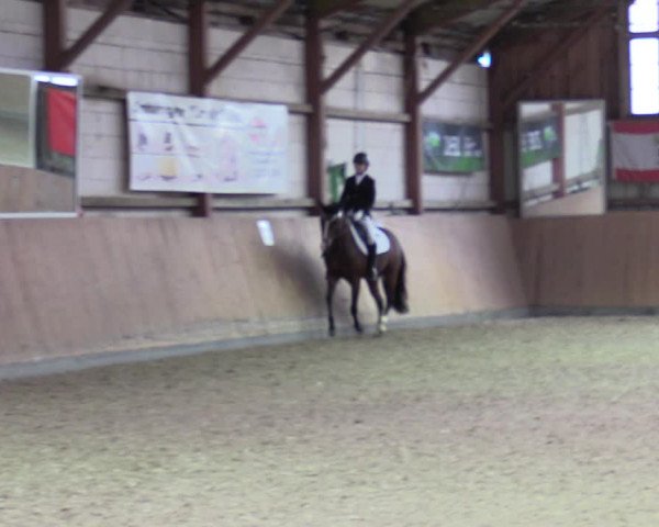 Reitturnier Elisenau 2021