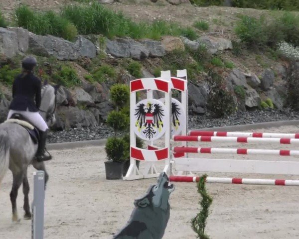 Reitturnier St. Margarethen-Stückler 2022