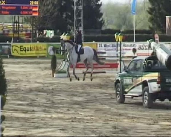 Reitturnier Werne-Lenklar 2012