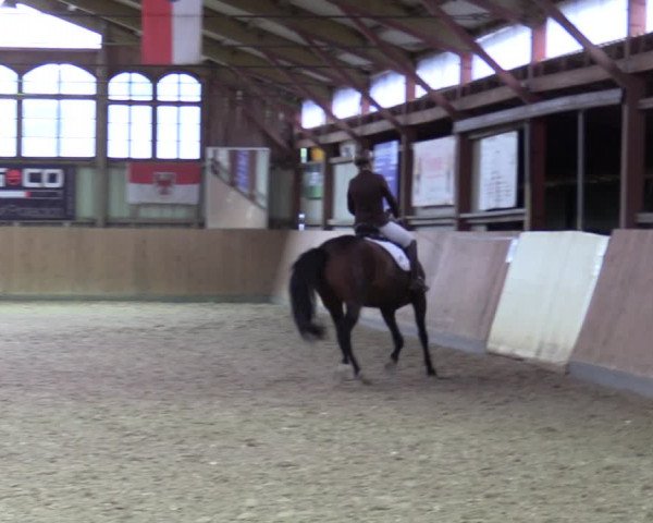 Reitturnier Elisenau 2021