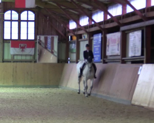 Reitturnier Elisenau 2021