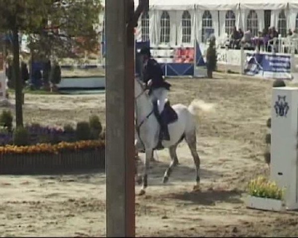Reitturnier Werne-Lenklar 2012