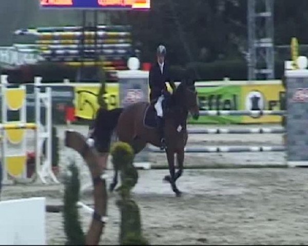 Werne-Lenklarer Reitertage vom 13.-15.+17.-22.04.2012 auf der Reitsportanlage Gripshöver