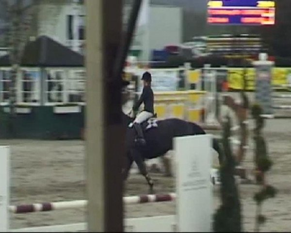 Reitturnier Werne-Lenklar 2012
