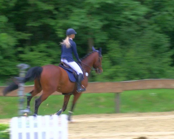Reitturnier Wesel-Obrighoven 2024