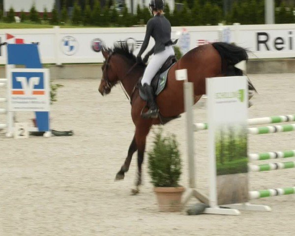 Reitturnier Babenhausen/Schw. 2024