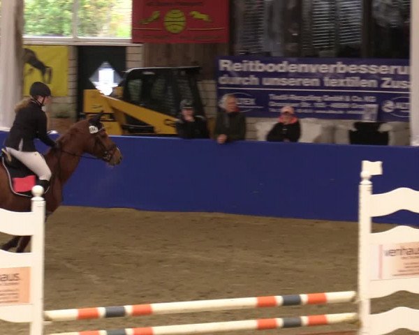 Euregio Springturnier Isterberg 2021
