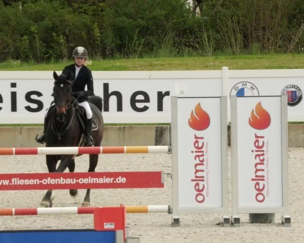 Reitturnier Babenhausen/Schw. 2024