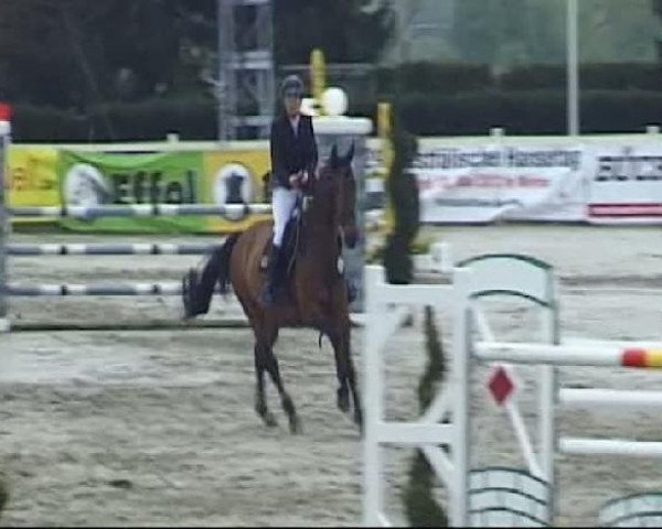 Reitturnier Werne-Lenklar 2012