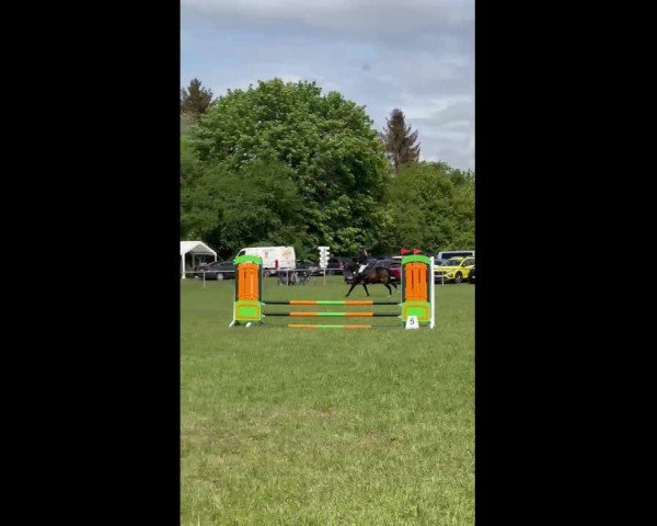 Video von Bellatrix B