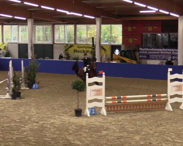 Euregio Springturnier Isterberg 2021
