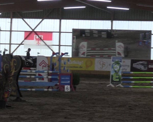 Reitturnier Pausin 2021