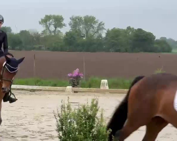 Video of Bella Ciao 3