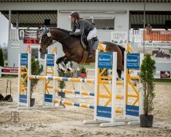 jumper C-riously Candy (German Sport Horse, 2018, from Canto)