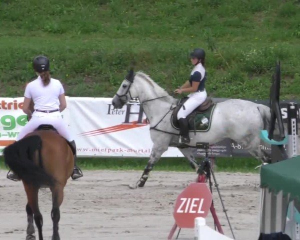 Reitturnier Zeltweg-Farrach 2022