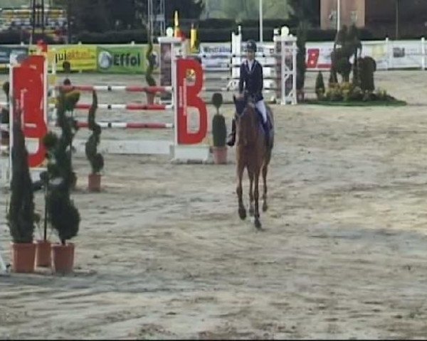 Reitturnier Werne-Lenklar 2012