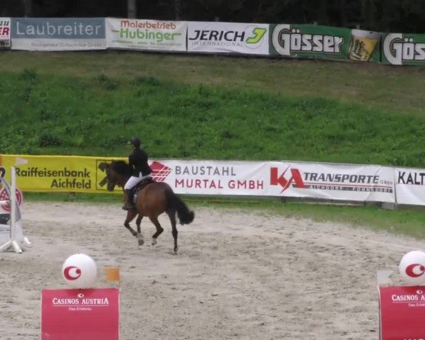 Reitturnier Zeltweg-Farrach 2022