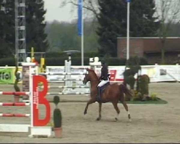 Werne-Lenklarer Reitertage vom 13.-15.+17.-22.04.2012 auf der Reitsportanlage Gripshöver