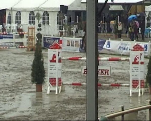 Reitturnier Werne-Lenklar 2012