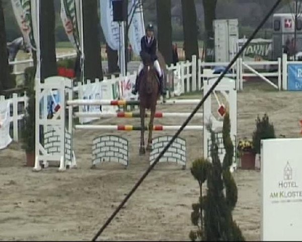 Reitturnier Werne-Lenklar 2012