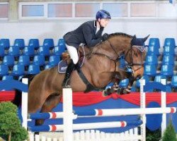 jumper Lupicoeur 2 (Oldenburg, 2009, from Lord Pezi)