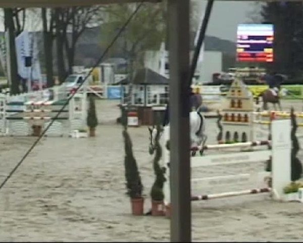 Reitturnier Werne-Lenklar 2012