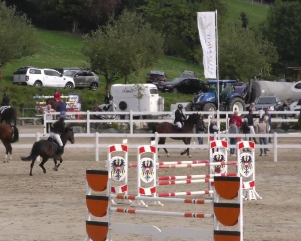 Reitturnier Wolfsberg 2022
