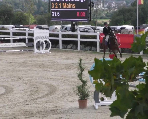 Reitturnier Wolfsberg 2022