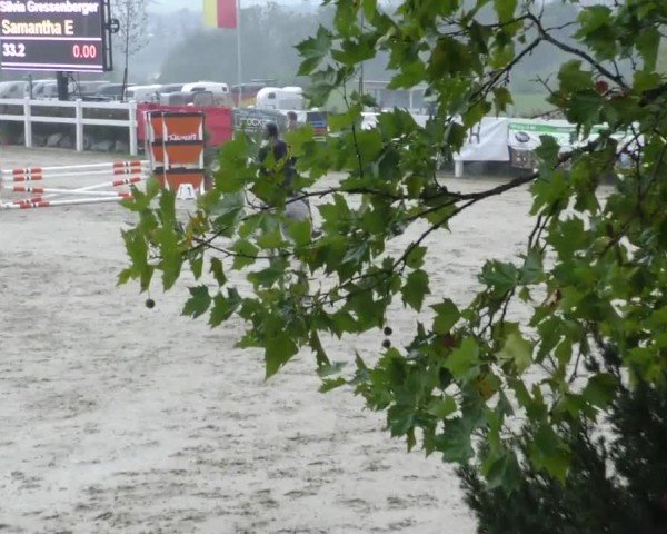 Reitturnier Wolfsberg 2022