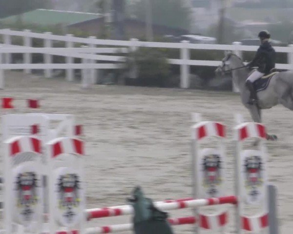 Reitturnier Wolfsberg 2022