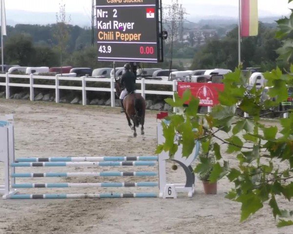 Reitturnier Wolfsberg 2022
