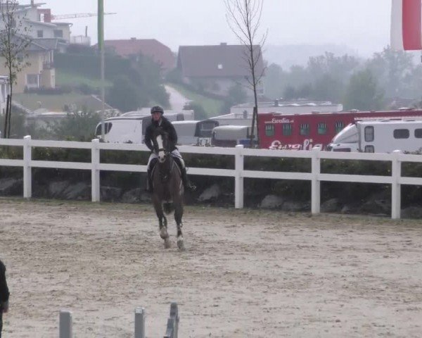 Reitturnier Wolfsberg 2022